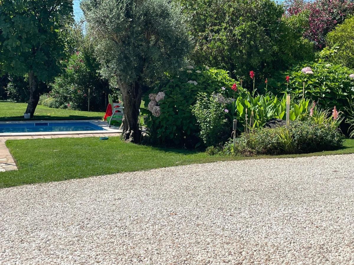 Farmhouse In Montemor O Novo With Swimming Pool Eksteriør billede
